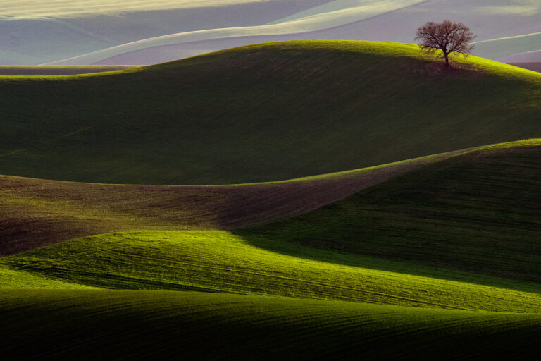 Lucianetti Fernando Luigi - Green-waves